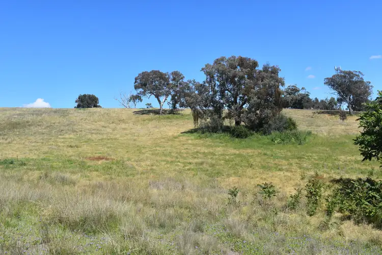Fourth view of Homely rural property listing, 1268 Neurea Road, Mumbil NSW 2820