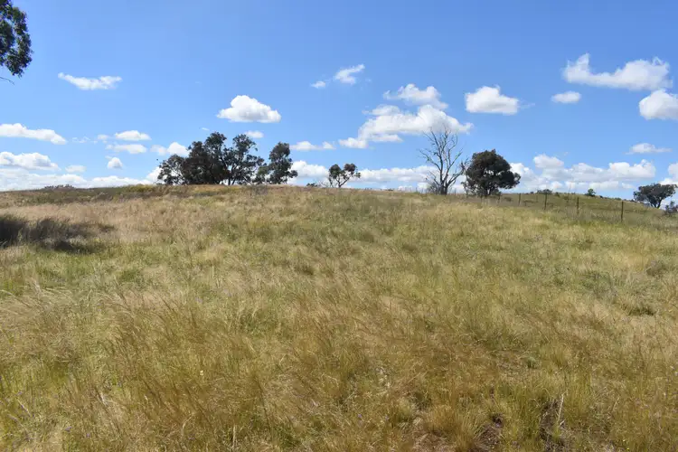 Fifth view of Homely rural property listing, 1268 Neurea Road, Mumbil NSW 2820