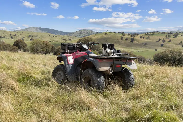 Fifth view of Homely rural property listing, "Fyvies Run" 1892 Fish River Road, Crookwell NSW 2583