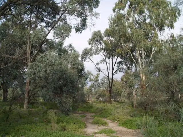 Main view of Homely land listing, Lot 64 Page Drive, Blanchetown SA 5357