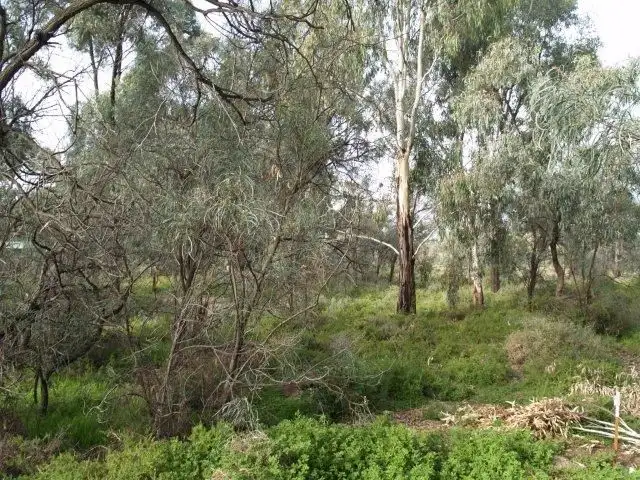 Fifth view of Homely land listing, Lot 64 Page Drive, Blanchetown SA 5357