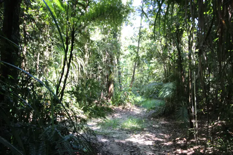 Third view of Homely rural property listing, Lot 5 Woopen Creek Road, Woopen Creek QLD 4871
