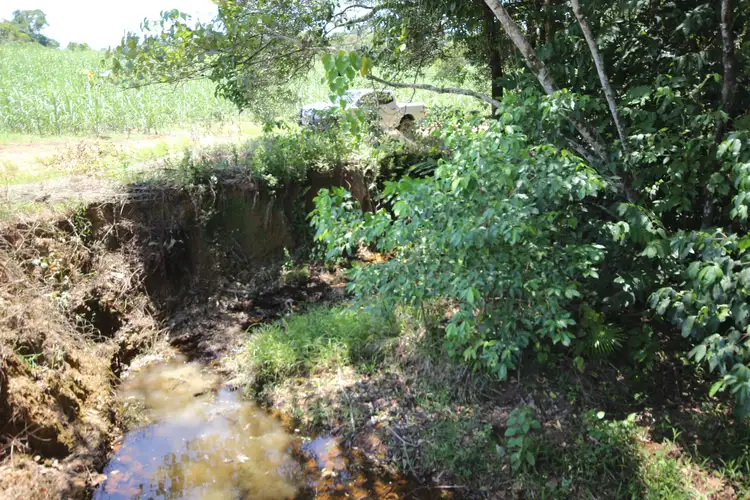 Fourth view of Homely rural property listing, Lot 5 Woopen Creek Road, Woopen Creek QLD 4871