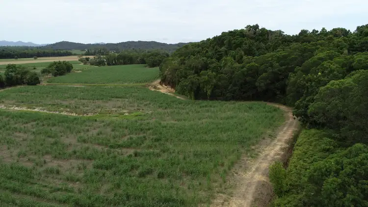 Seventh view of Homely rural property listing, Lot 5 Woopen Creek Road, Woopen Creek QLD 4871