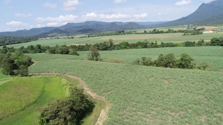 Fifth view of Homely rural property listing, Lot 3 Woopen Creek Road, Woopen Creek QLD 4871