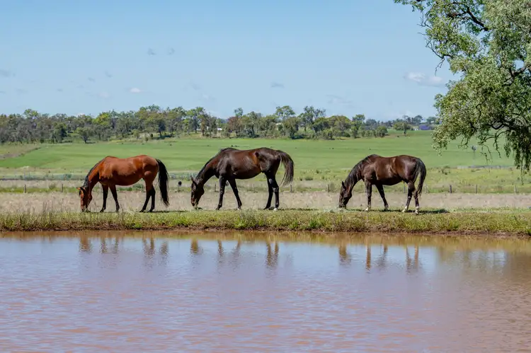 Fifth view of Homely rural property listing, 'Trevor Hill' 2093 Gore Highway, Umbiram QLD 4352