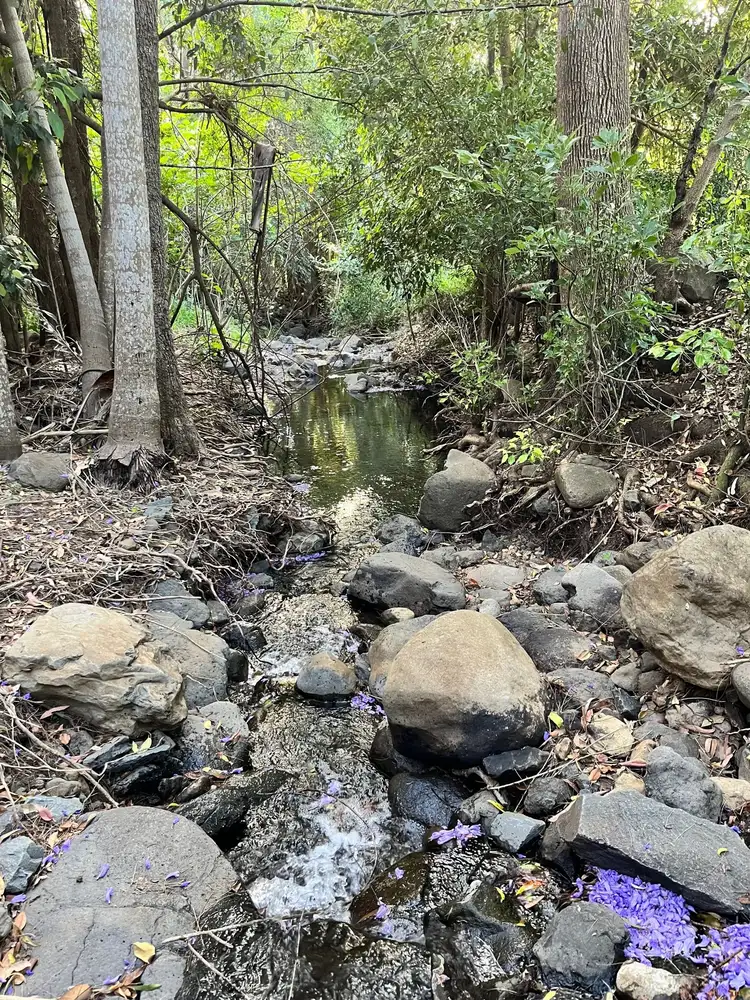 Seventh view of Homely land listing, LOT 20-26, Bluegum Drive, Wonglepong QLD 4275