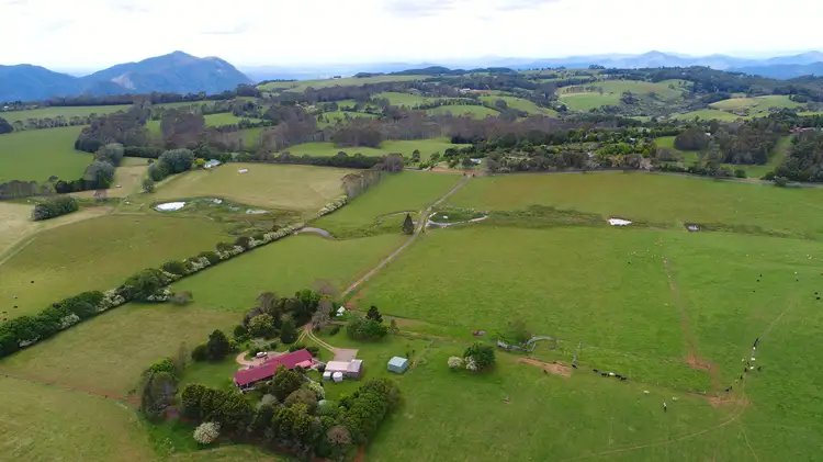 Main view of Homely rural property listing, 170 Maynards Plains Road, Dorrigo NSW 2453