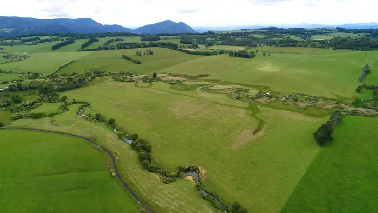 Second view of Homely rural property listing, 170 Maynards Plains Road, Dorrigo NSW 2453
