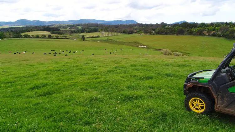 Fourth view of Homely rural property listing, 170 Maynards Plains Road, Dorrigo NSW 2453