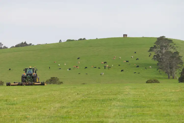 Fifth view of Homely rural property listing, 170 Maynards Plains Road, Dorrigo NSW 2453
