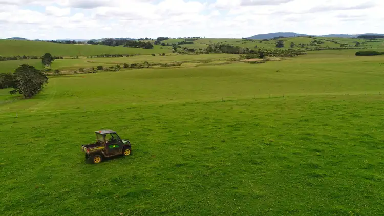 Sixth view of Homely rural property listing, 170 Maynards Plains Road, Dorrigo NSW 2453