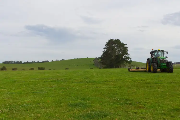 Seventh view of Homely rural property listing, 170 Maynards Plains Road, Dorrigo NSW 2453