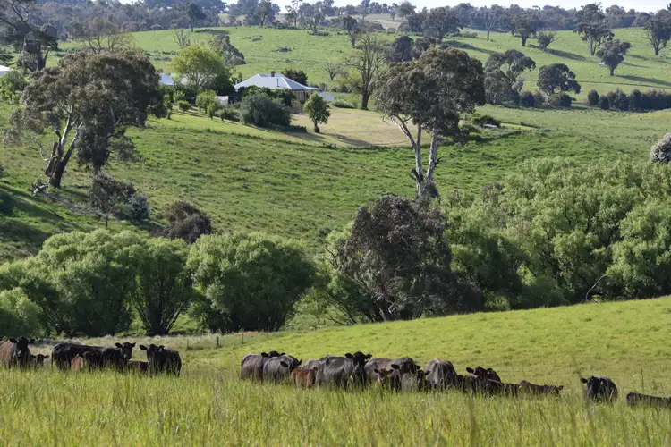 Main view of Homely rural property listing, 1081 Triangle Flat Road, Bathurst NSW 2795