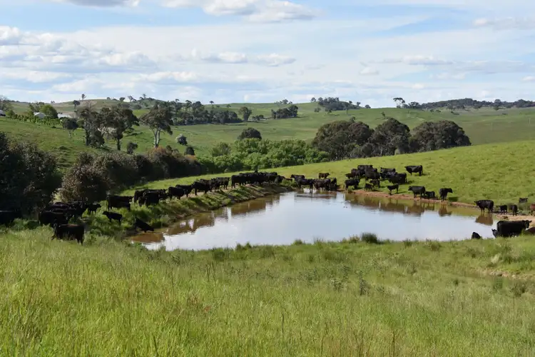 Fourth view of Homely rural property listing, 1081 Triangle Flat Road, Bathurst NSW 2795