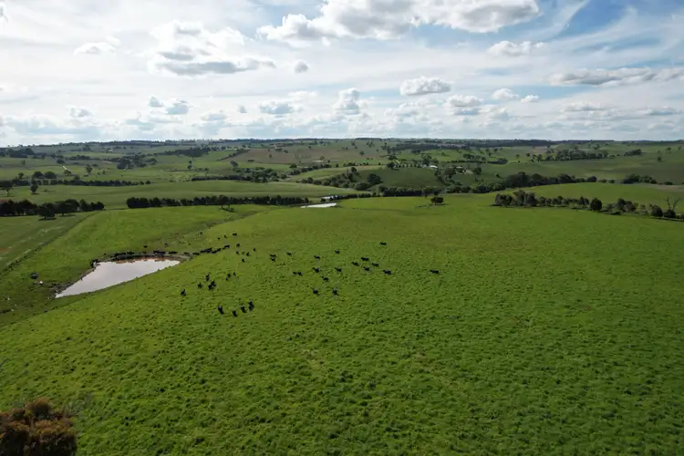 Sixth view of Homely rural property listing, 1081 Triangle Flat Road, Bathurst NSW 2795