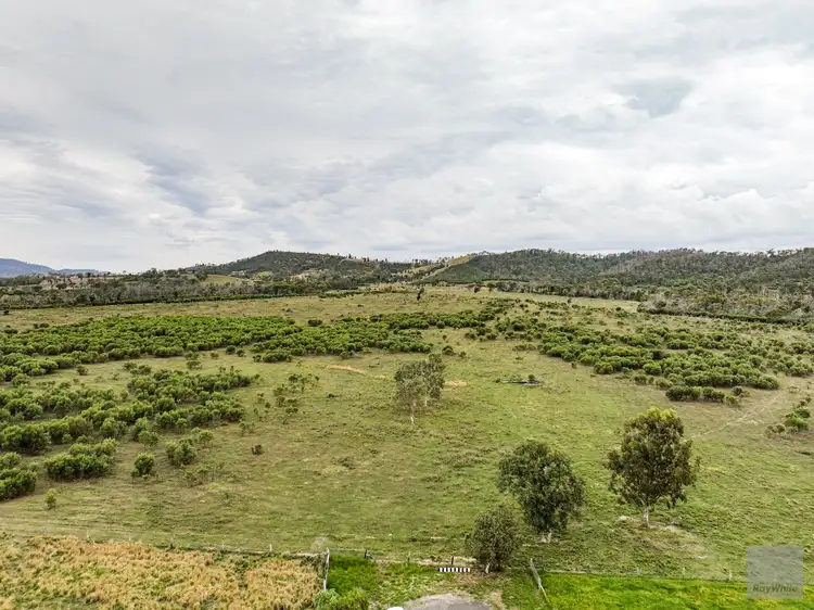 Fourth view of Homely rural property listing, Lot 46 Norpine Road, Bungundarra QLD 4703