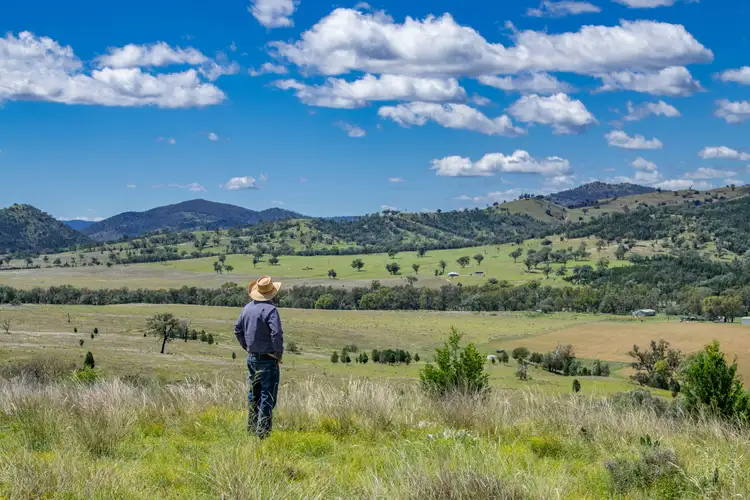 864 Mole River Road, Tenterfield NSW 2372