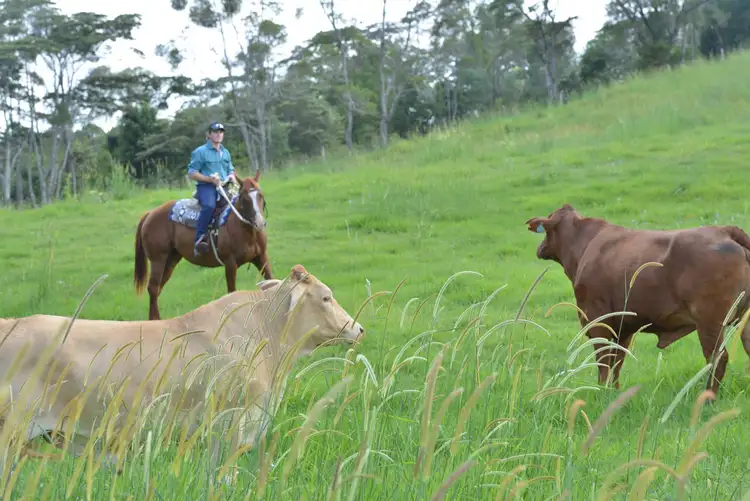 Second view of Homely house listing, 120 Bagnalls Road, Cooroy QLD 4563