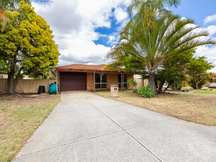 Main view of Homely house listing, 43 Lyrebird Loop, Seville Grove WA 6112