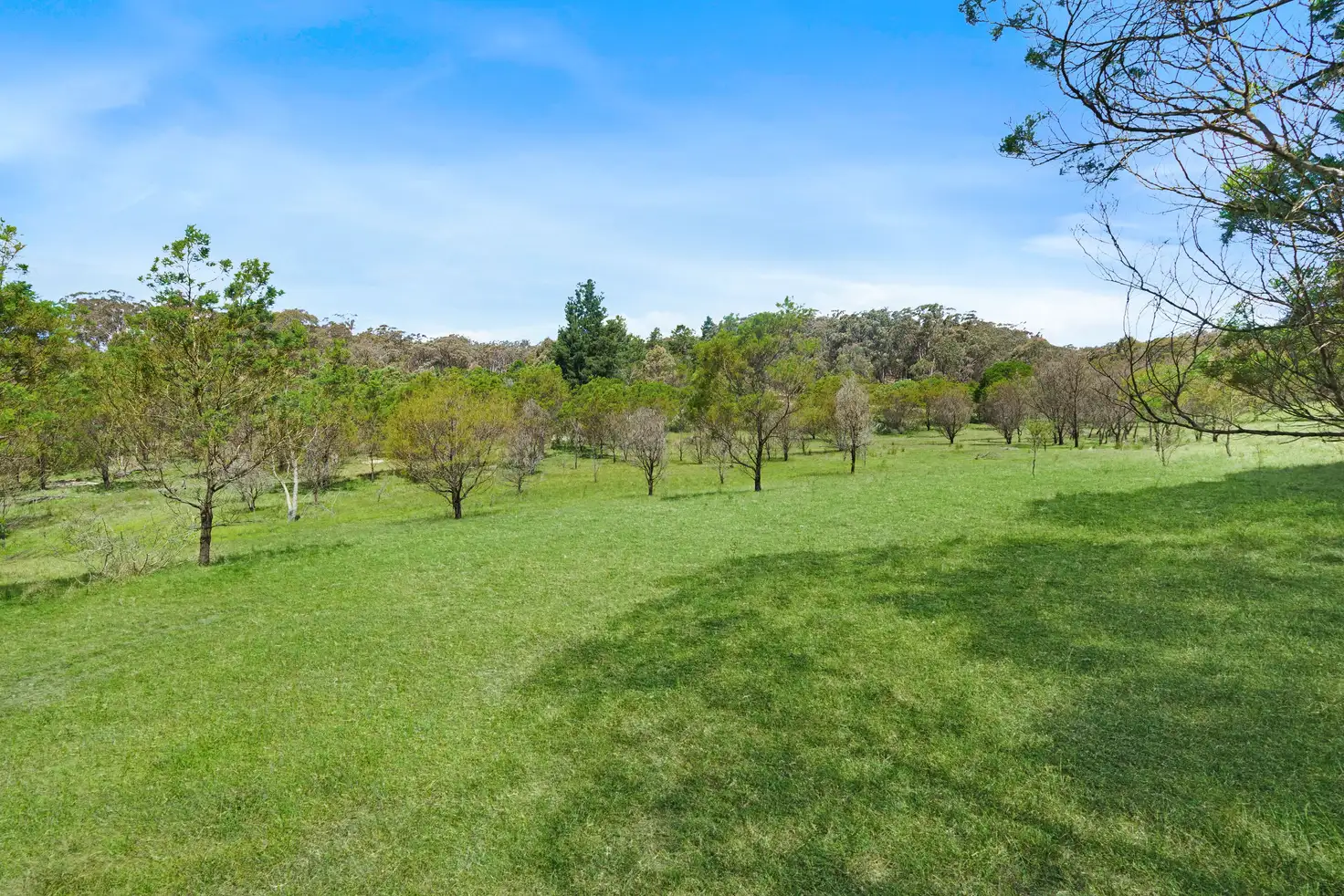 Main view of Homely rural property listing, 161 Dairy Road, Brayton NSW 2579