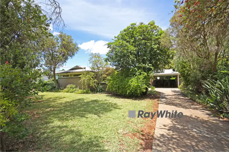 61 George Street, Robinvale VIC 3549
