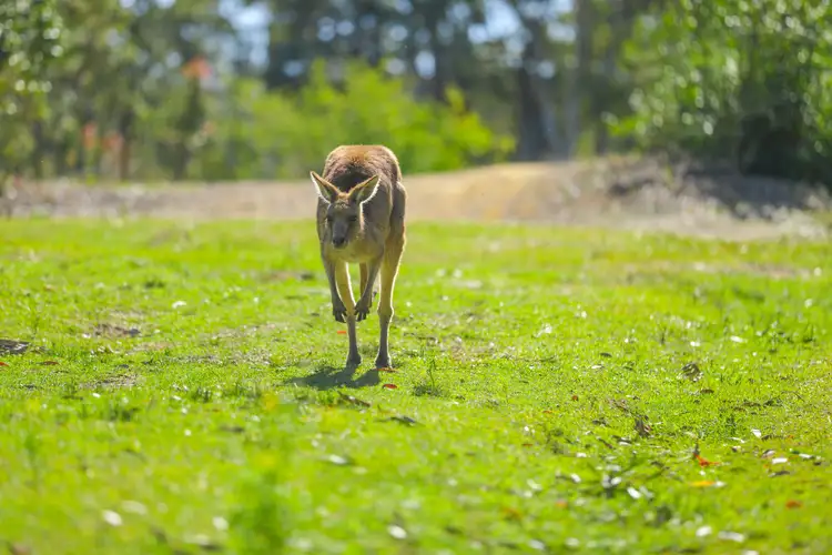 Fifth view of Homely land listing, 130 Buttaba Hills Road, Buttaba NSW 2283