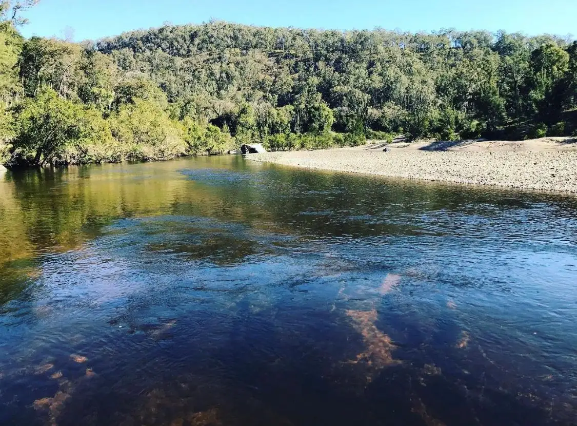 Main view of Homely rural property listing, 480 Ogilve Drive, Tabulam NSW 2469