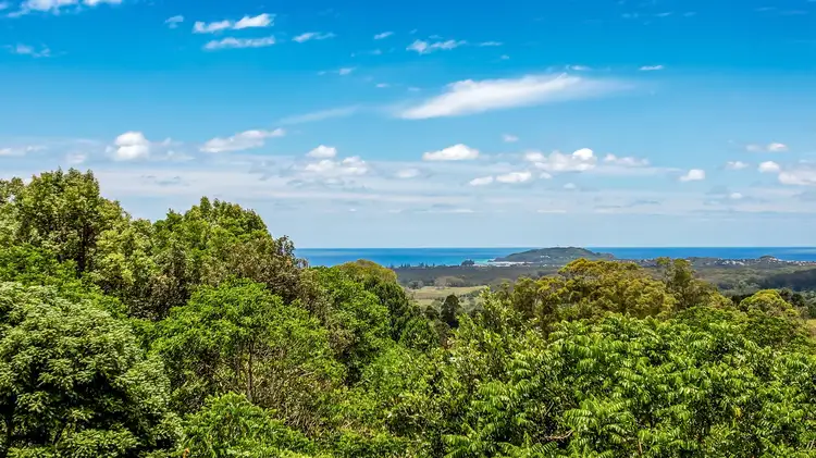 Fifth view of Homely rural property listing, 646 Bangalow Road, Talofa NSW 2481