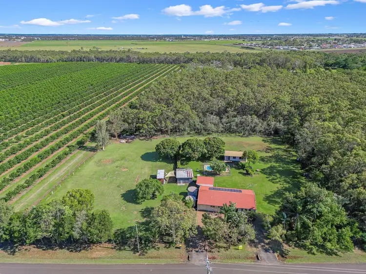 Second view of Homely house listing, 386 Clayton Road, Alloway QLD 4670