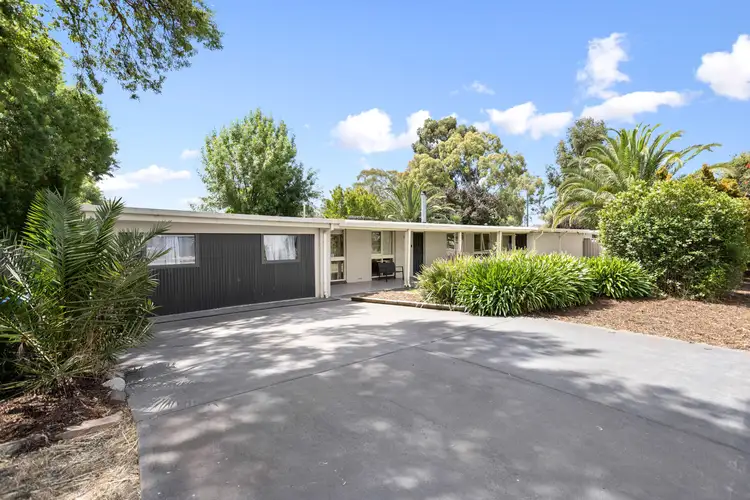 Main view of Homely house listing, 49 Wellington Road, Mount Barker SA 5251