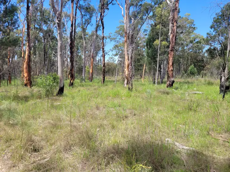 Second view of Homely rural property listing, 606 Stonehenge Road, Leyburn QLD 4365