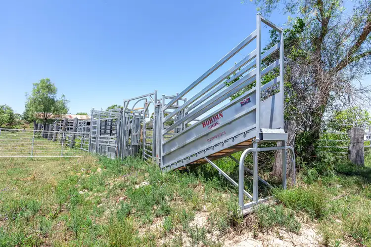 Seventh view of Homely rural property listing, Lot 145 Quinalow Peranga Road, Peranga QLD 4352