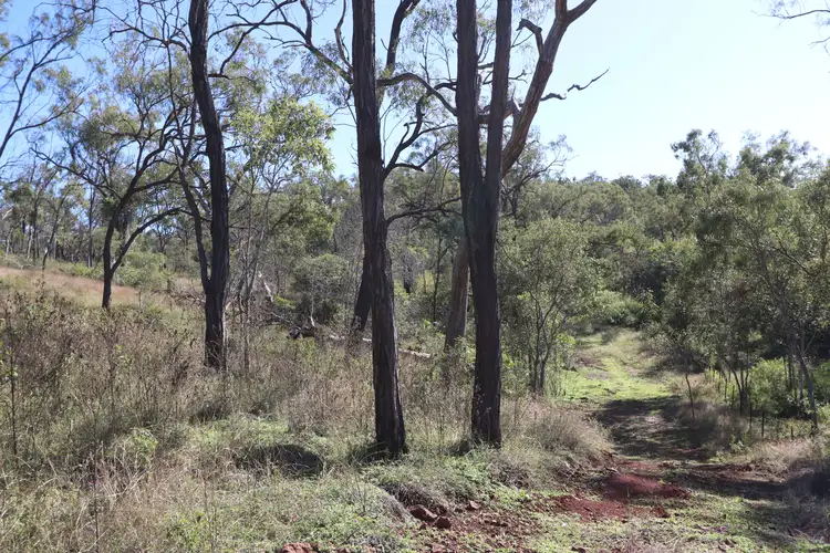 Fifth view of Homely rural property listing, 0 STANWELL - WAROULA Road, Stanwell QLD 4702