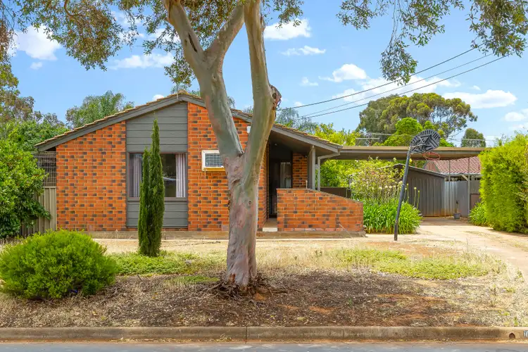 19 Yuwindi Avenue, Salisbury North SA 5108