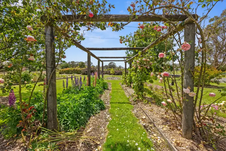 Third view of Homely house listing, 15 Desmond Road, Wattle Bank VIC 3995