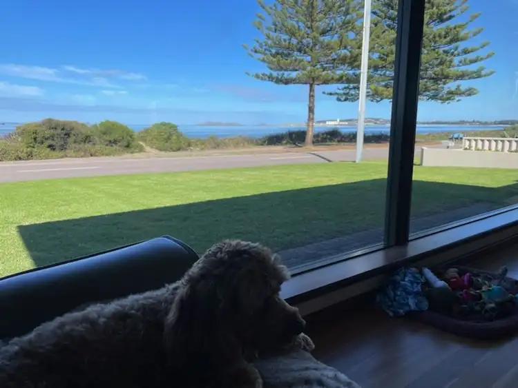 Fifth view of Homely house listing, 53 Castletown Quays, Castletown WA 6450
