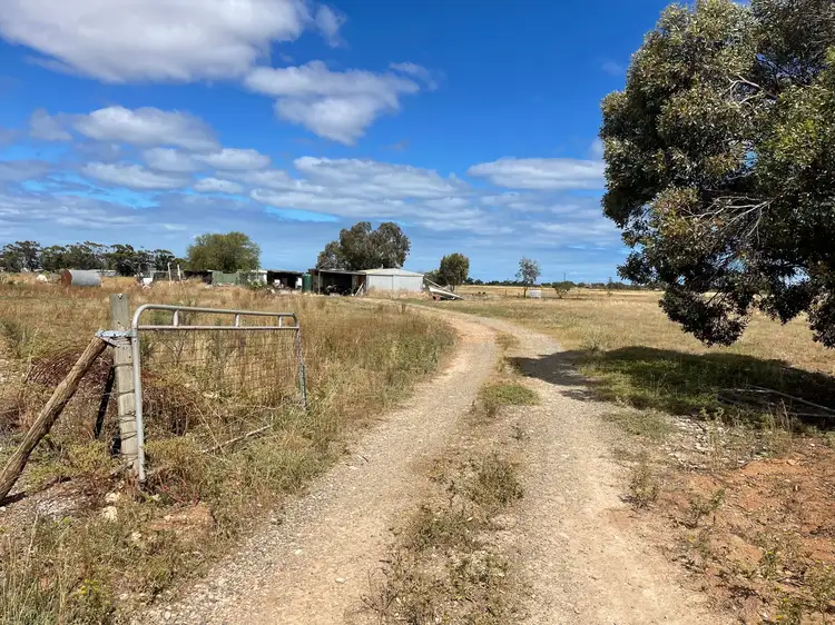 Main view of Homely rural property listing, 1967/Crown Licence Warmington Road, Moonta SA 5558