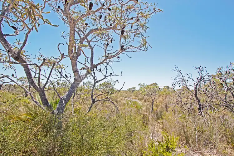 Fourth view of Homely land listing, LOT 21 Wren Way, Jurien Bay WA 6516