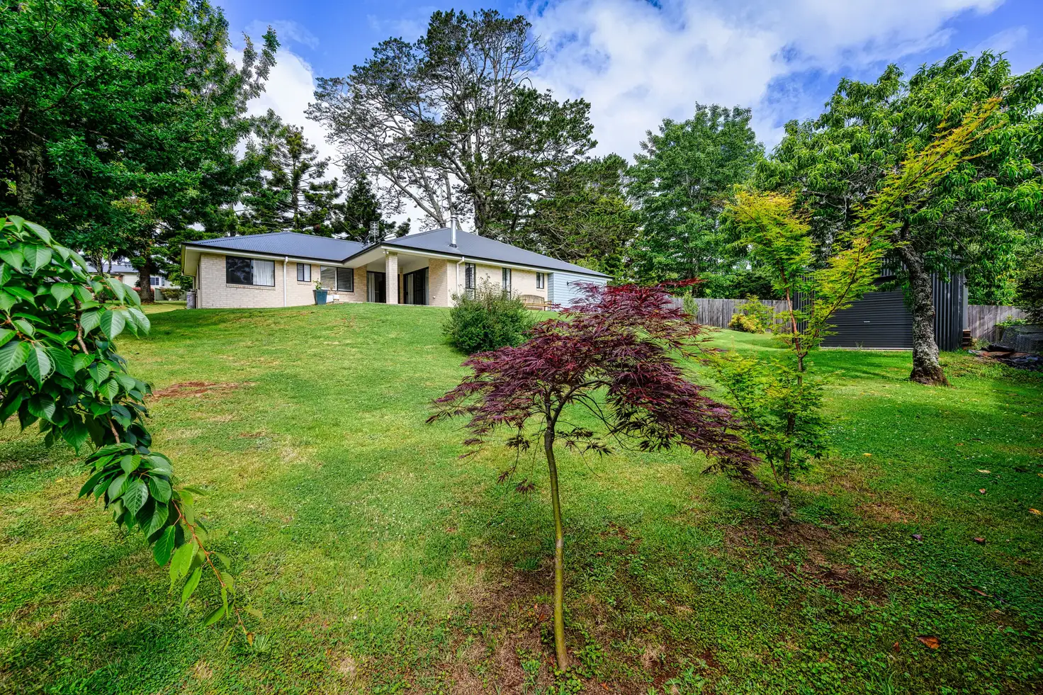 Main view of Homely house listing, 8 Beech Street, Dorrigo NSW 2453