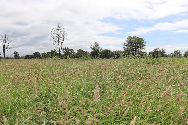 Main view of Homely rural property listing, 1714 Mundubbera Durong Road, Derri Derra QLD 4626