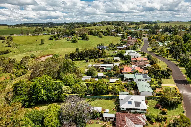 Main view of Homely house listing, 38 Kurrajong Street, Dorrigo NSW 2453