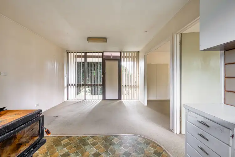 Seventh view of Homely house listing, 38 Kurrajong Street, Dorrigo NSW 2453