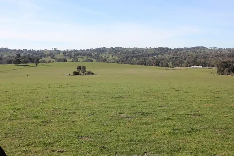Main view of Homely rural property listing, Kanimbla Hume Highway, Tarcutta NSW 2652