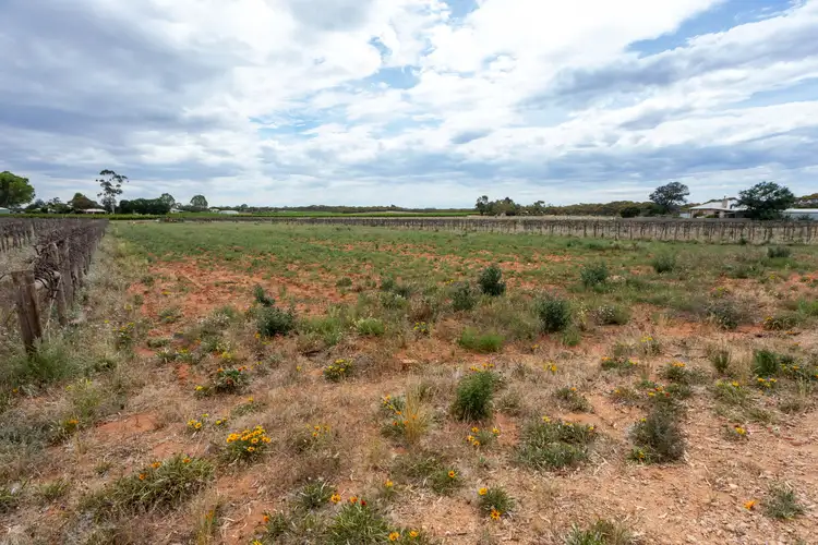 Third view of Homely land listing, Section 686 Soderberg Road, Monash SA 5342