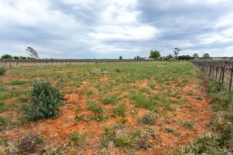 Fourth view of Homely land listing, Section 686 Soderberg Road, Monash SA 5342