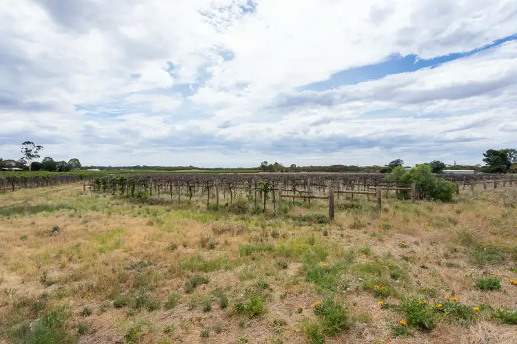 Fifth view of Homely land listing, Section 686 Soderberg Road, Monash SA 5342