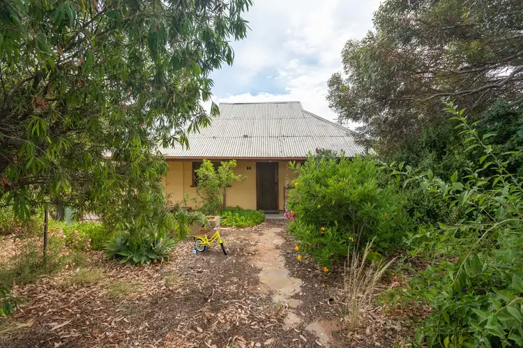 Main view of Homely house listing, 7 Muscat Avenue, Berri SA 5343
