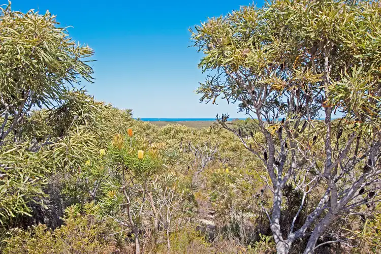 Third view of Homely land listing, LOT 75, 71 Flying Foam Way, Jurien Bay WA 6516