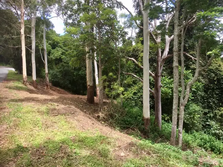 Main view of Homely land listing, 156 Freds Road, Ocean View QLD 4521